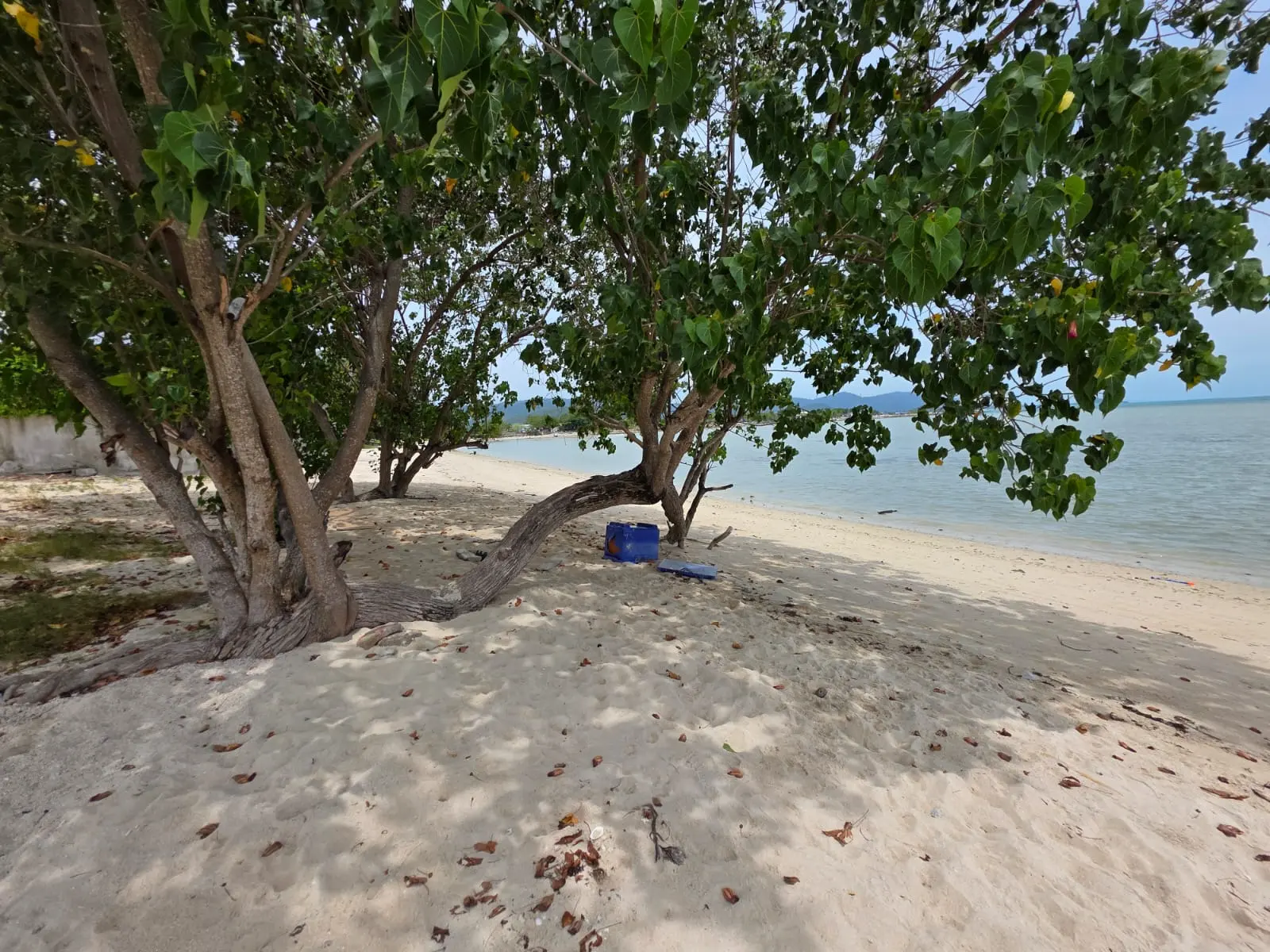 Beach Front Land in Plai Laem For Sale