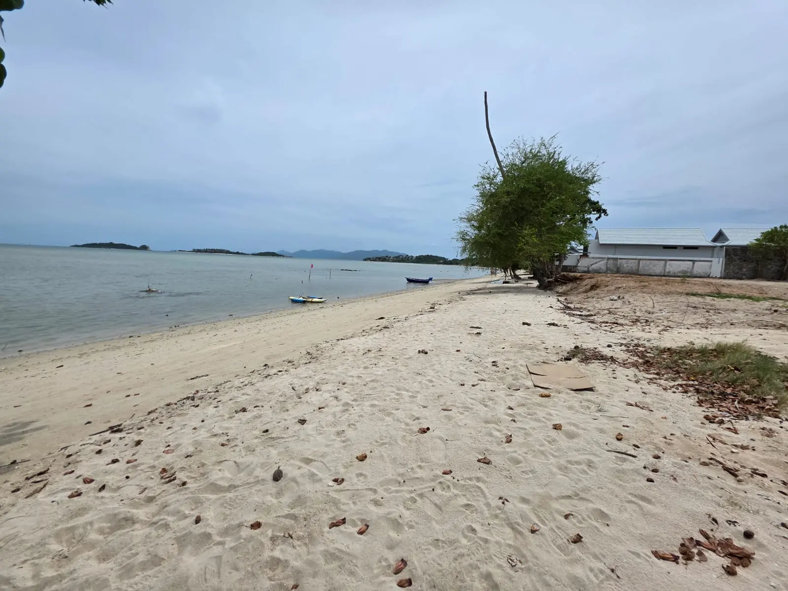 Beach Front Land in Plai Laem For Sale