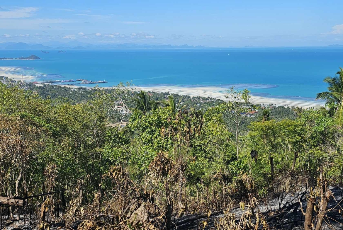 Sea View Land for Sale in Bang Makham, Koh Samui
