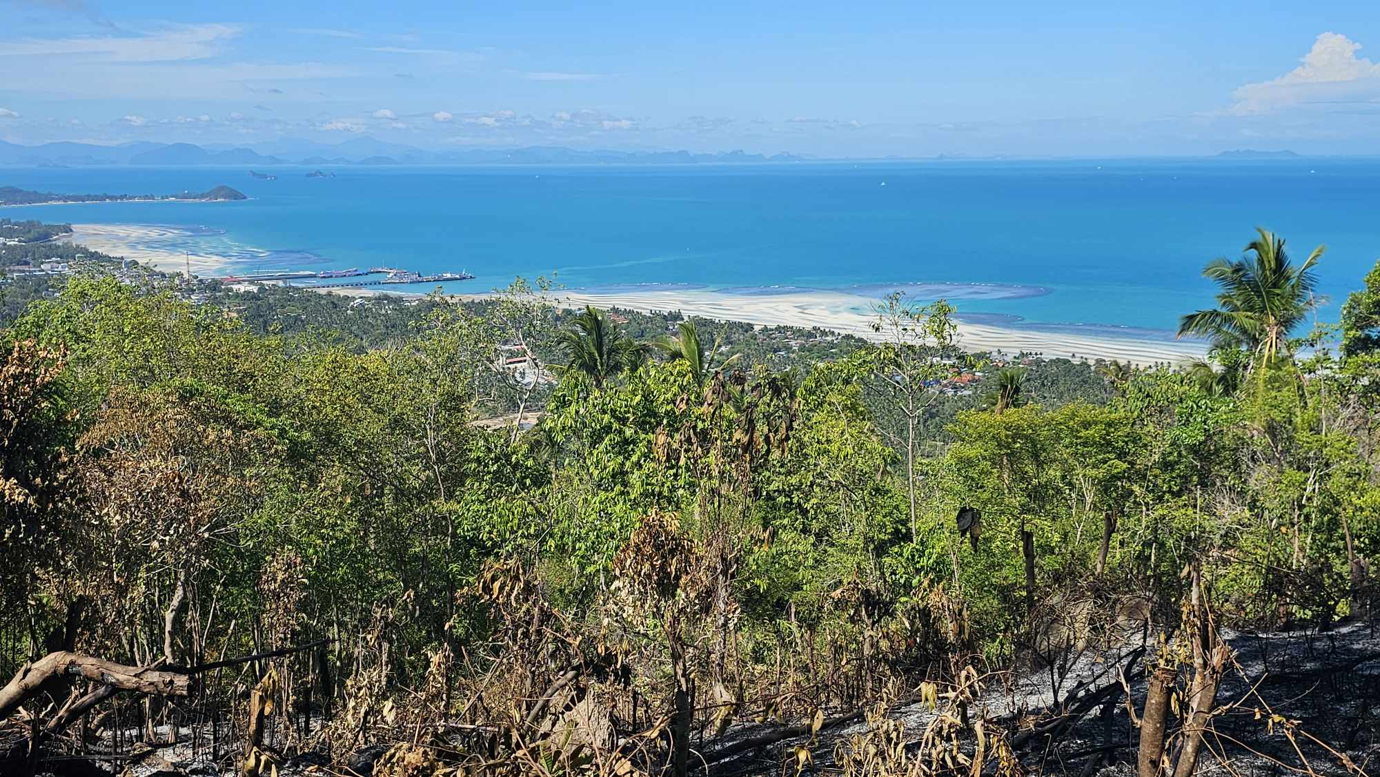 377095172_848716489768869_5636313695578203725_n Sea View Land for Sale in Bang Makham, Koh Samui