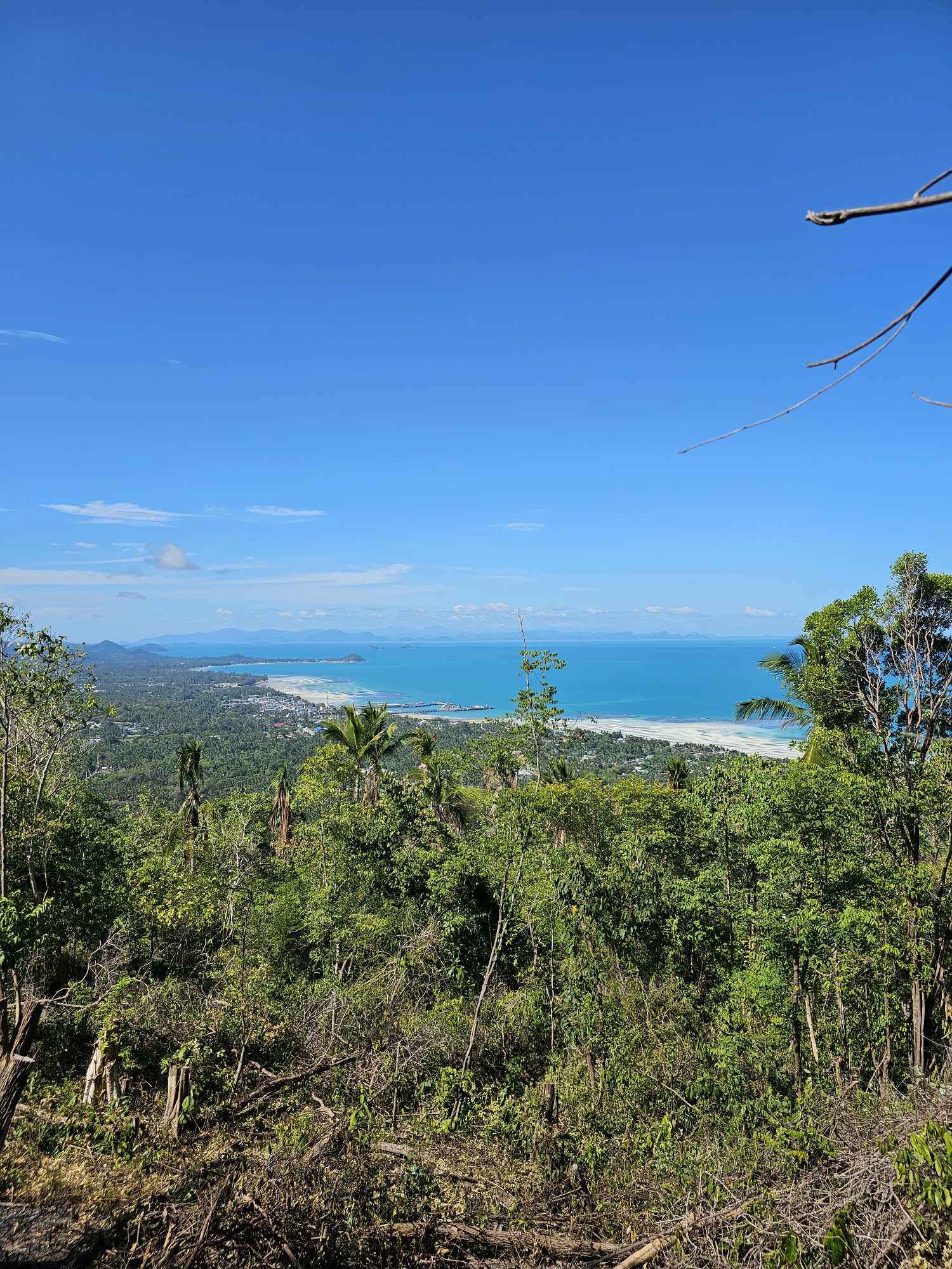 377095236_357492193274030_9009542740075324043_n Sea View Land for Sale in Bang Makham, Koh Samui