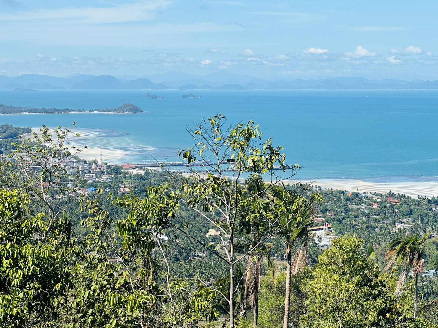 377097828_809258200842763_7011478123242824192_n Sea View Land for Sale in Bang Makham, Koh Samui