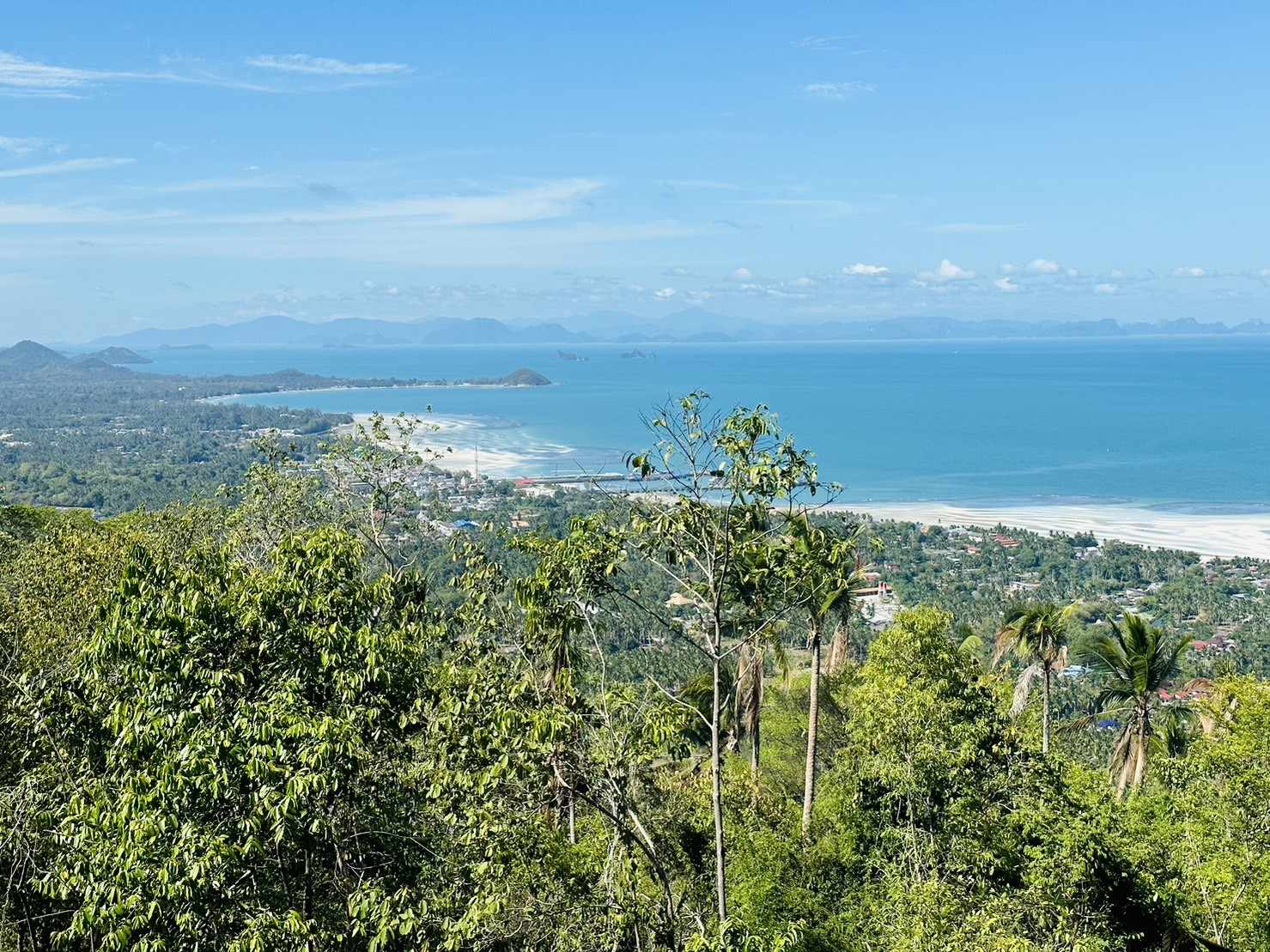 377100365_3609527609370179_5902436096970877403_n Sea View Land for Sale in Bang Makham, Koh Samui