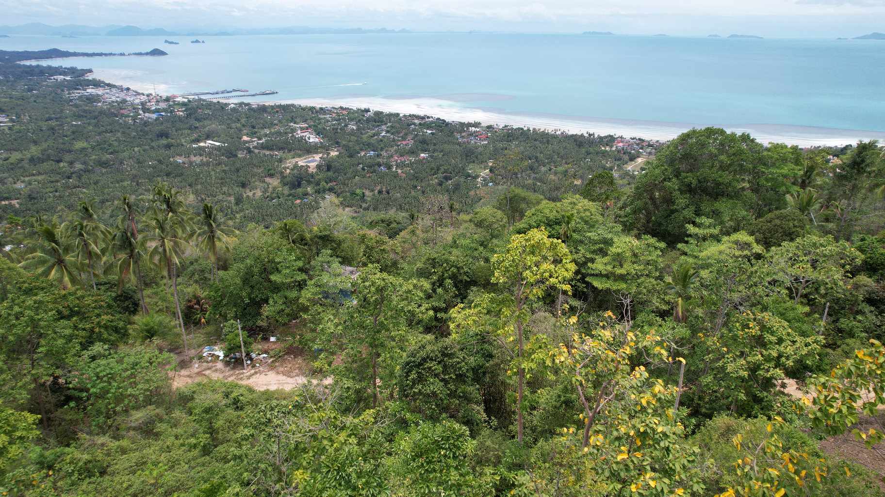 377100408_6243254039112143_7237735604265627698_n Sea View Land for Sale in Bang Makham, Koh Samui