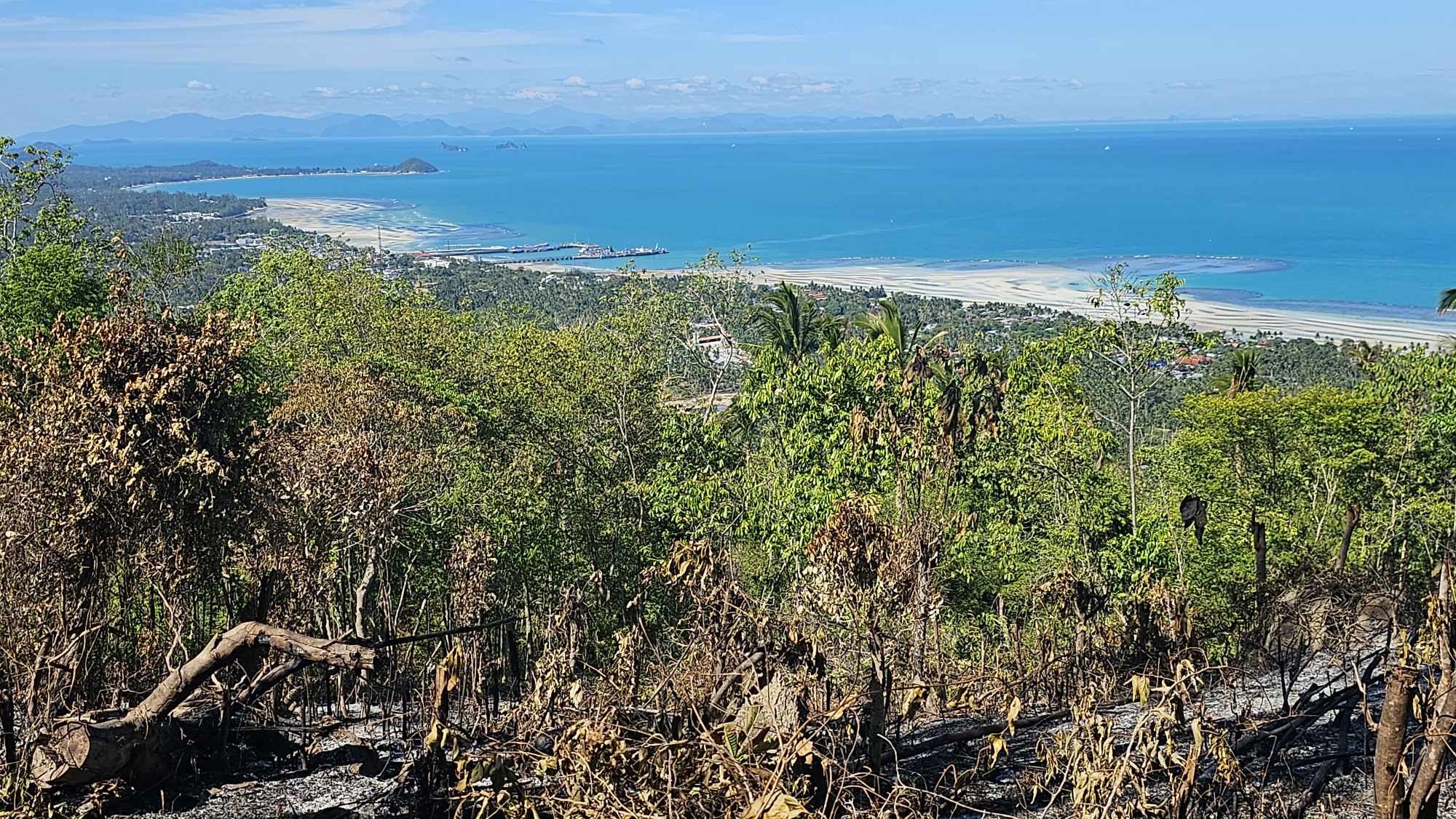 377103134_1020337759414232_3612390552888621932_n Sea View Land for Sale in Bang Makham, Koh Samui