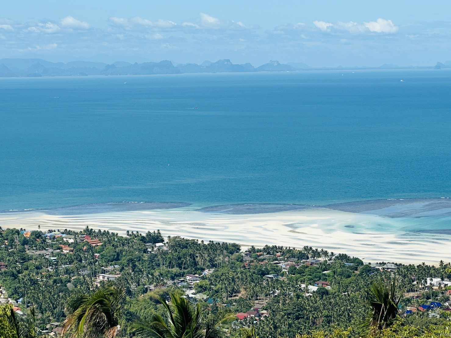 377103141_756044149658456_6848659657204506989_n Sea View Land for Sale in Bang Makham, Koh Samui