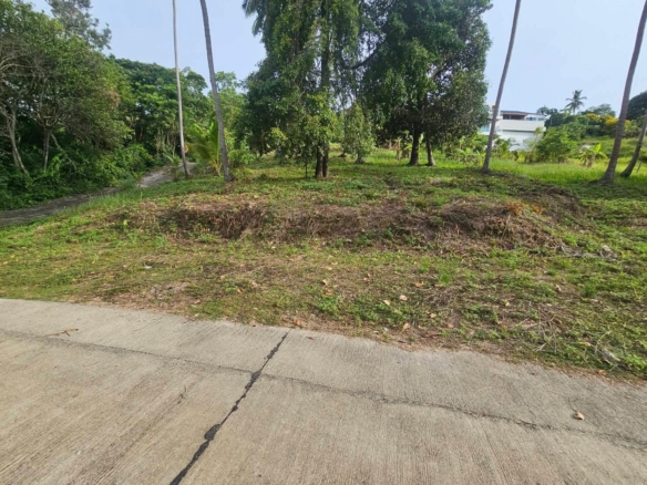 Nice land for sale in Koh Samui