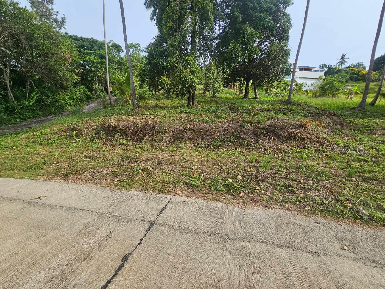 Nice land for sale in Koh Samui