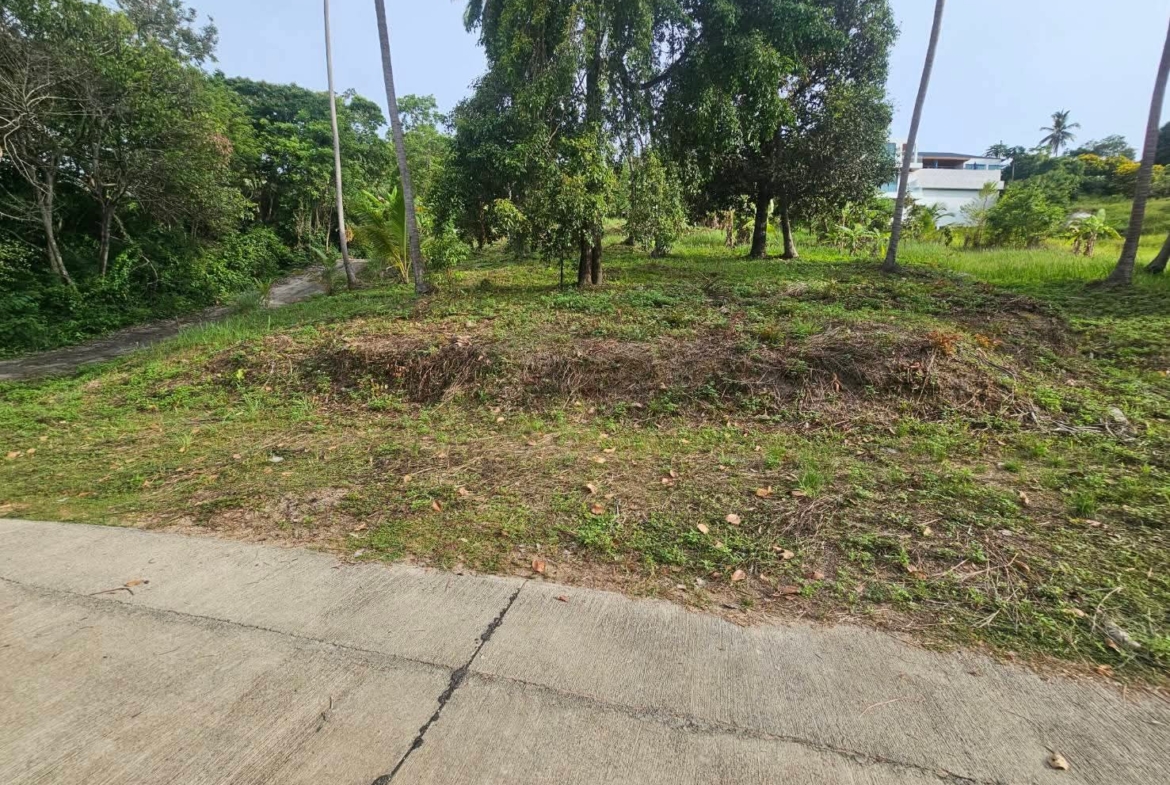 Nice land for sale in Koh Samui