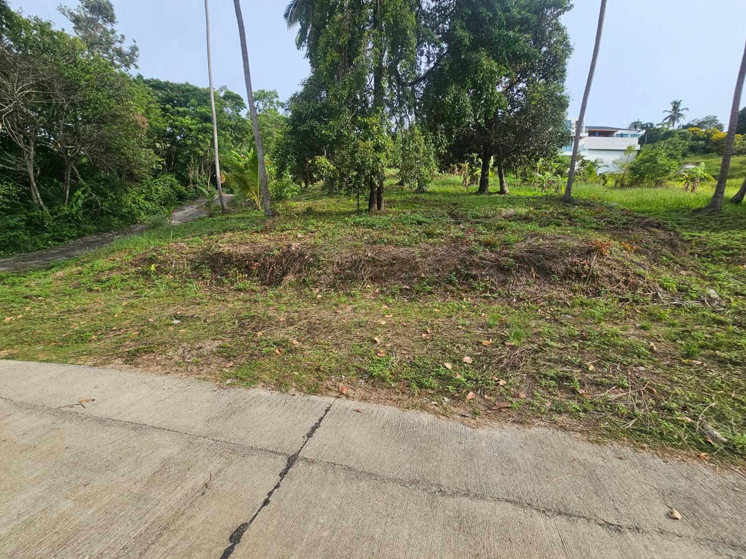 Nice land for sale in Koh Samui