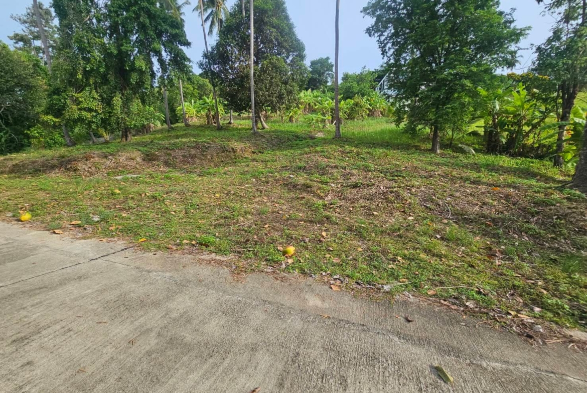 Nice land for sale in Koh Samui