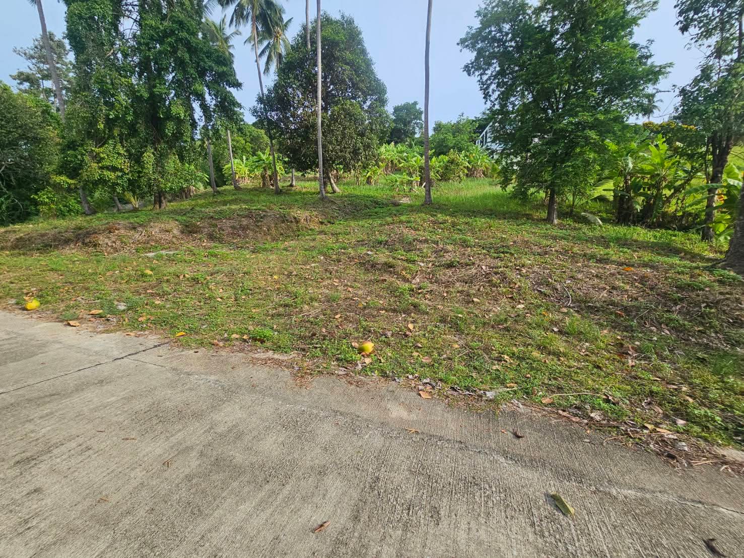 Nice land for sale in Koh Samui