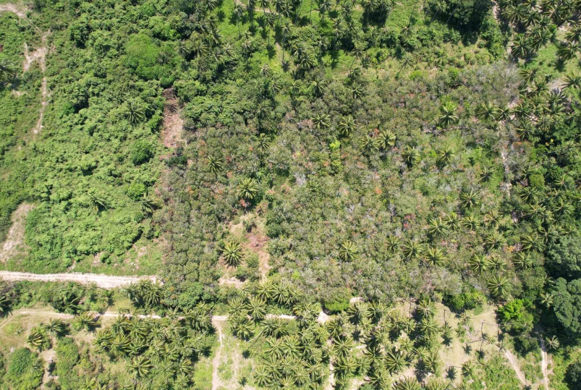 Flat Land for Sale in Taling Ngam, Koh Samui