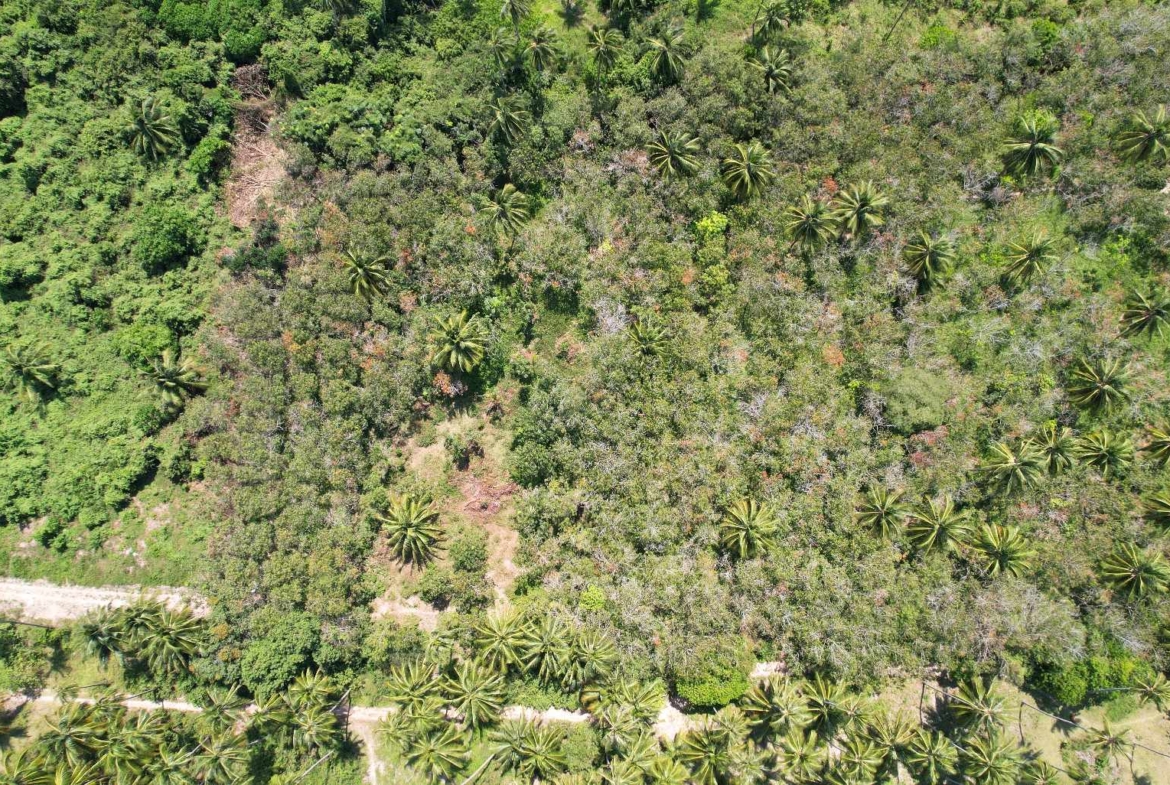 Flat Land for Sale in Taling Ngam, Koh Samui