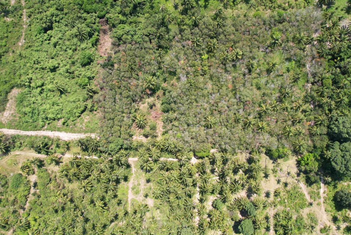Flat Land for Sale in Taling Ngam, Koh Samui
