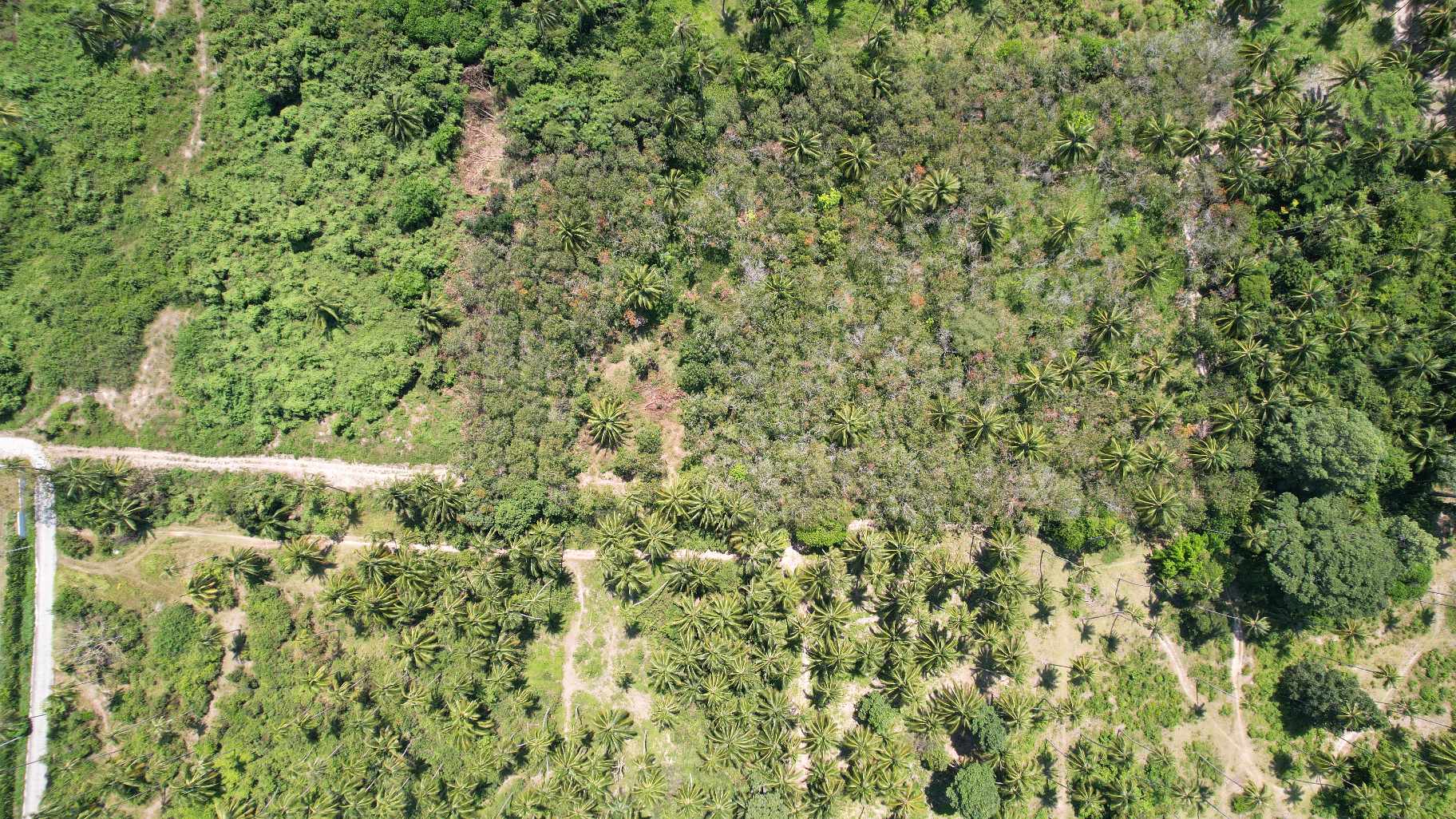 Flat Land for Sale in Taling Ngam, Koh Samui