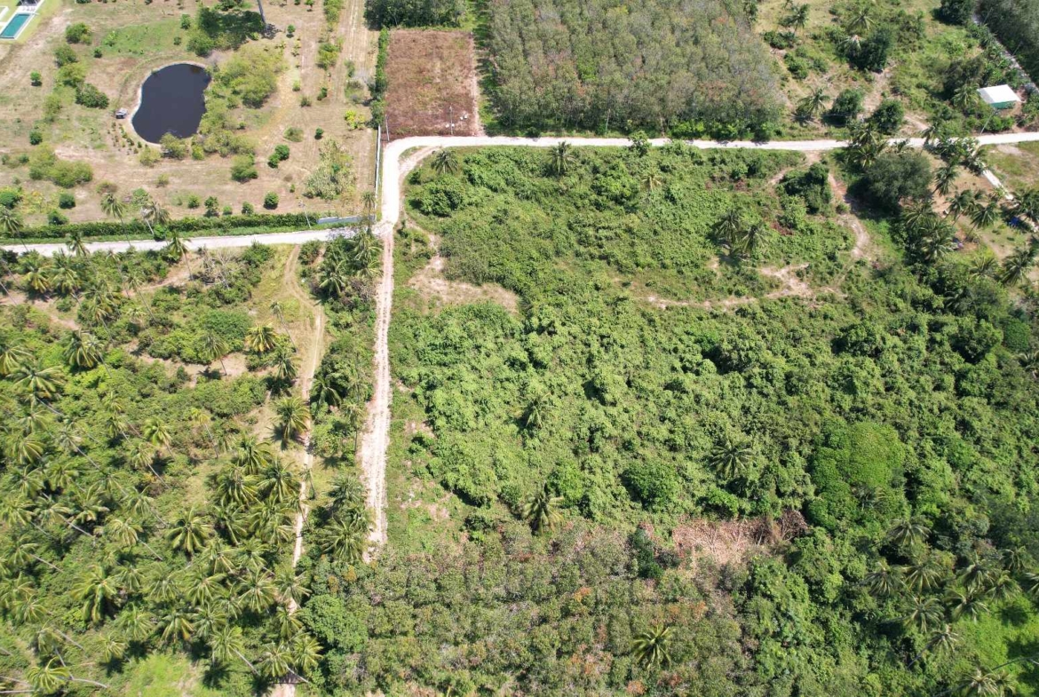 Flat Land for Sale in Taling Ngam, Koh Samui