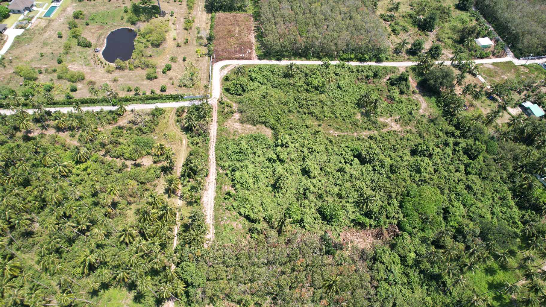 Flat Land for Sale in Taling Ngam, Koh Samui