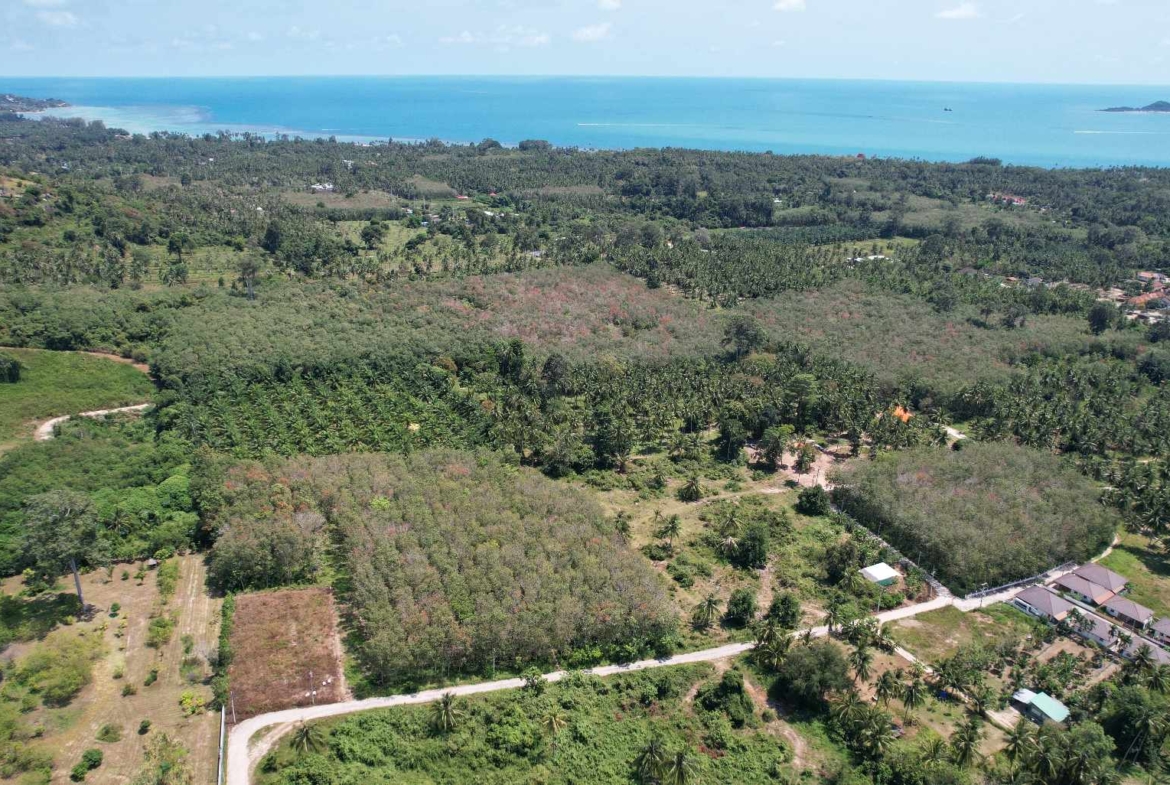 Flat Land for Sale in Taling Ngam, Koh Samui