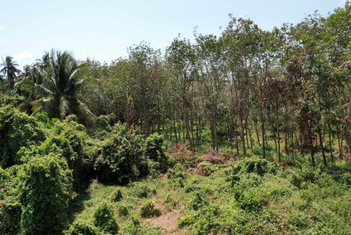 Flat Land for Sale in Taling Ngam, Koh Samui