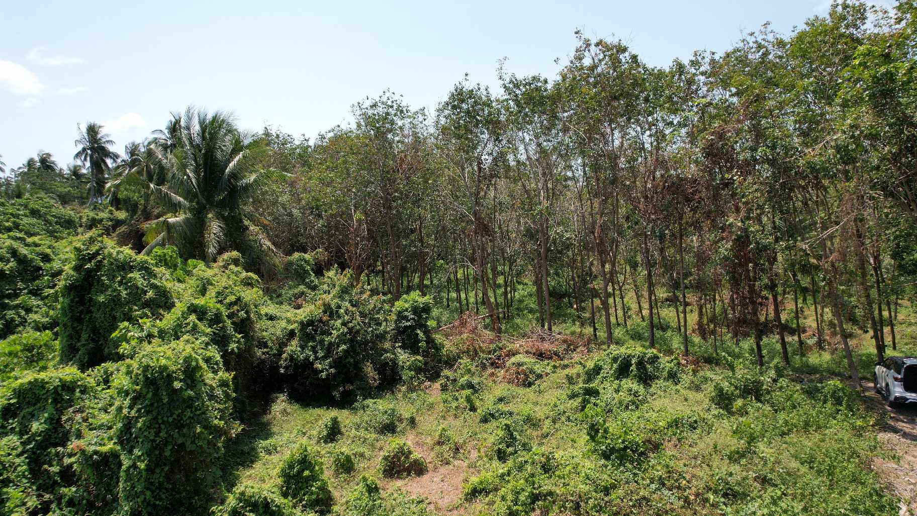 Flat Land for Sale in Taling Ngam, Koh Samui