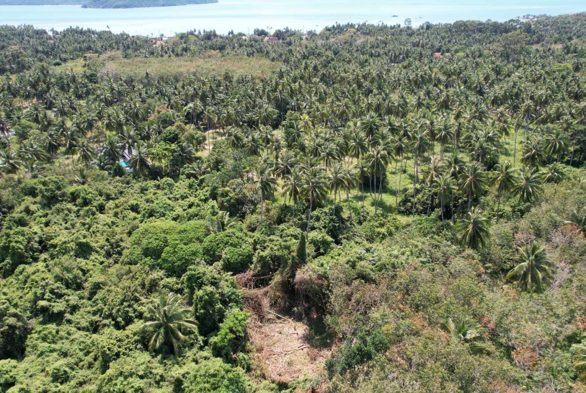 Flat Land for Sale in Taling Ngam, Koh Samui