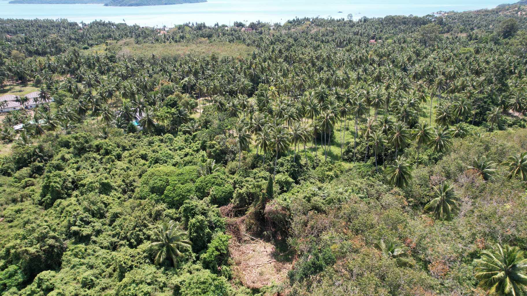 Flat Land for Sale in Taling Ngam, Koh Samui