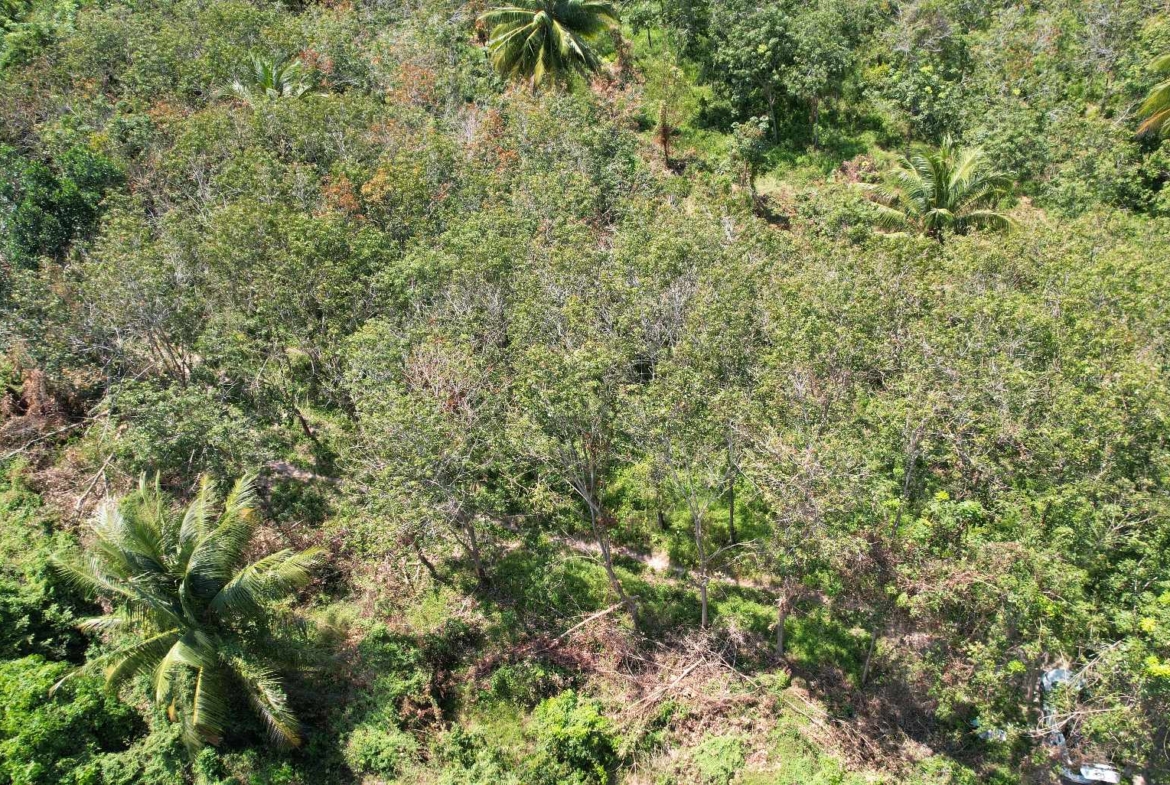 Flat Land for Sale in Taling Ngam, Koh Samui