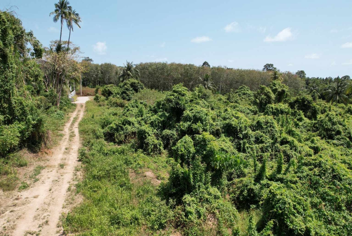 Flat Land for Sale in Taling Ngam, Koh Samui