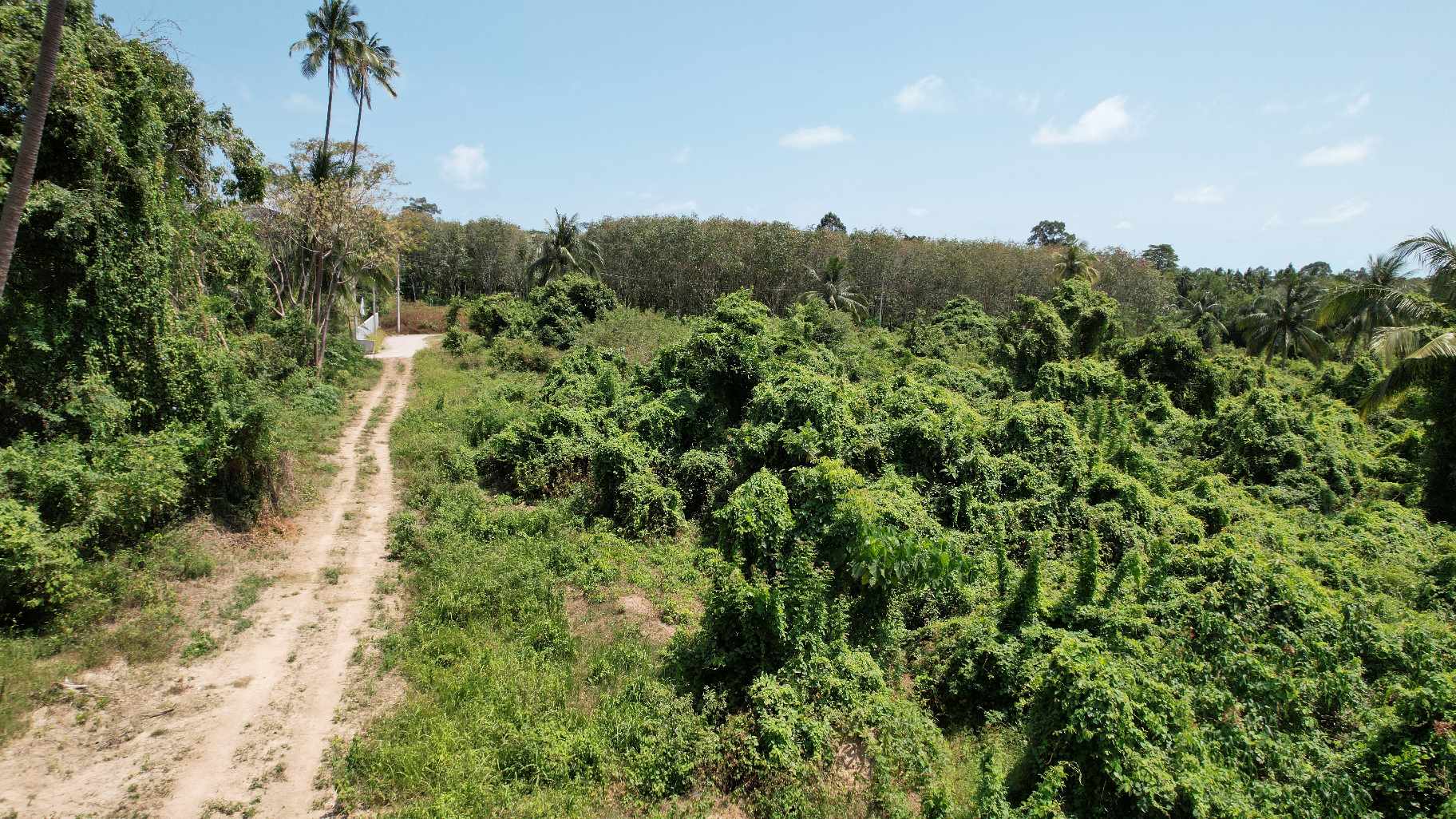 Flat Land for Sale in Taling Ngam, Koh Samui