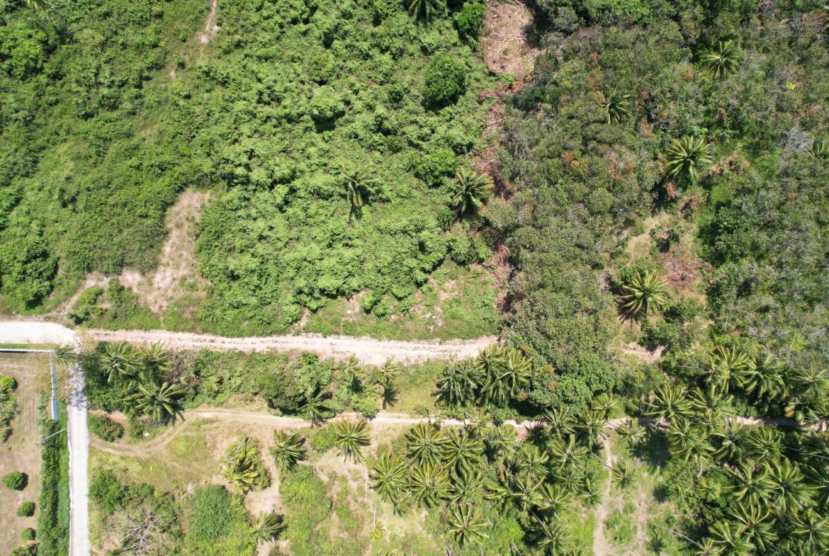 Flat Land for Sale in Taling Ngam, Koh Samui