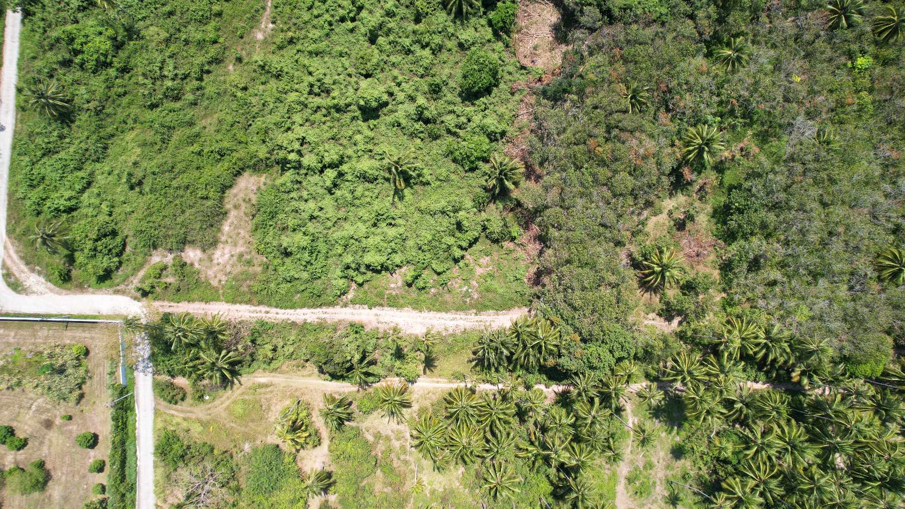 Flat Land for Sale in Taling Ngam, Koh Samui