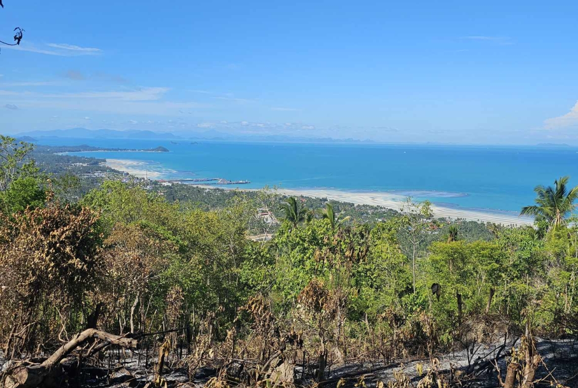 Sea View Land for Sale in Bang Makham, Koh Samui