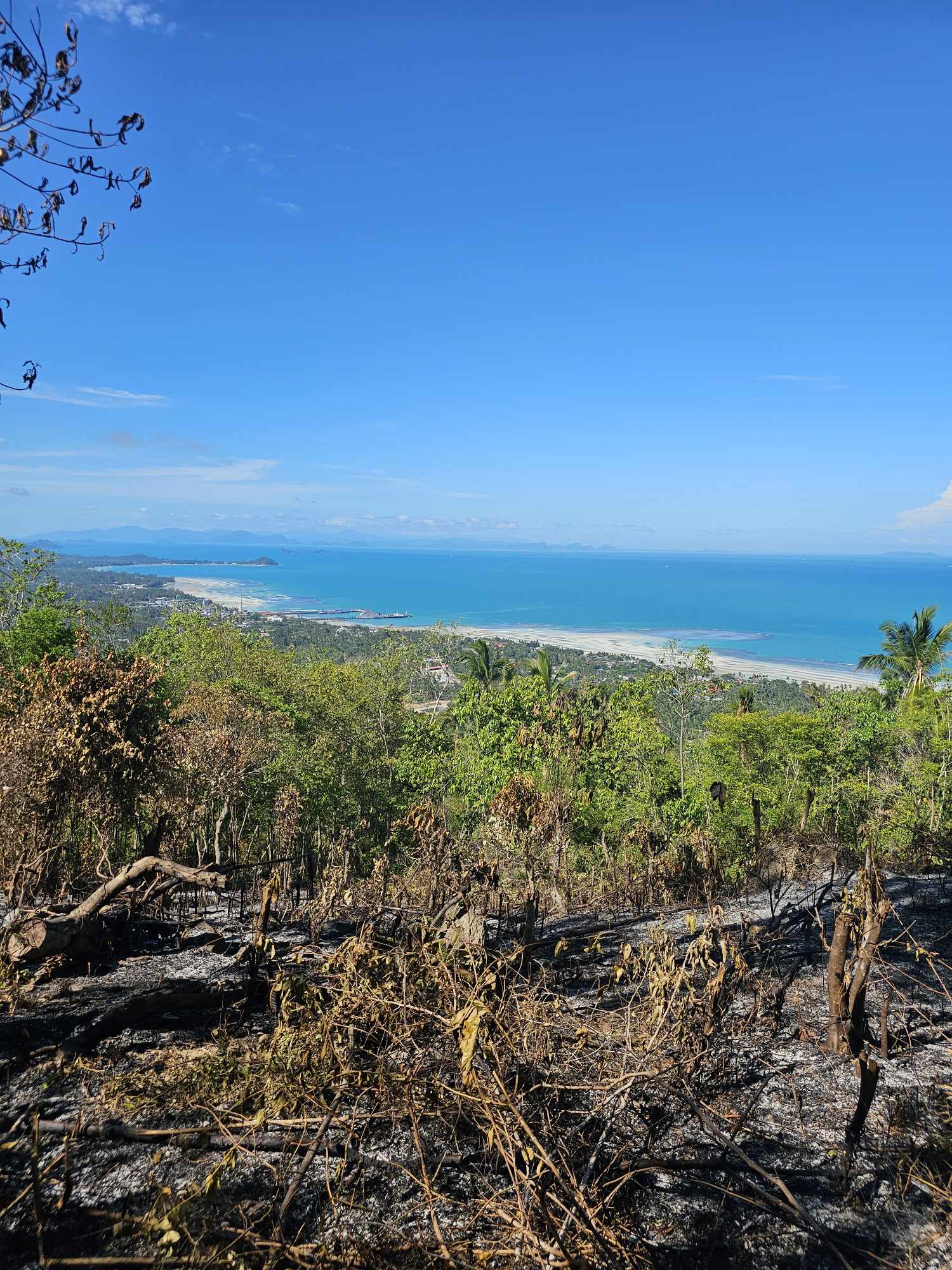 Land for Sale in Bang Makham, Koh Samui_16 Sea View Land for Sale in Bang Makham, Koh Samui