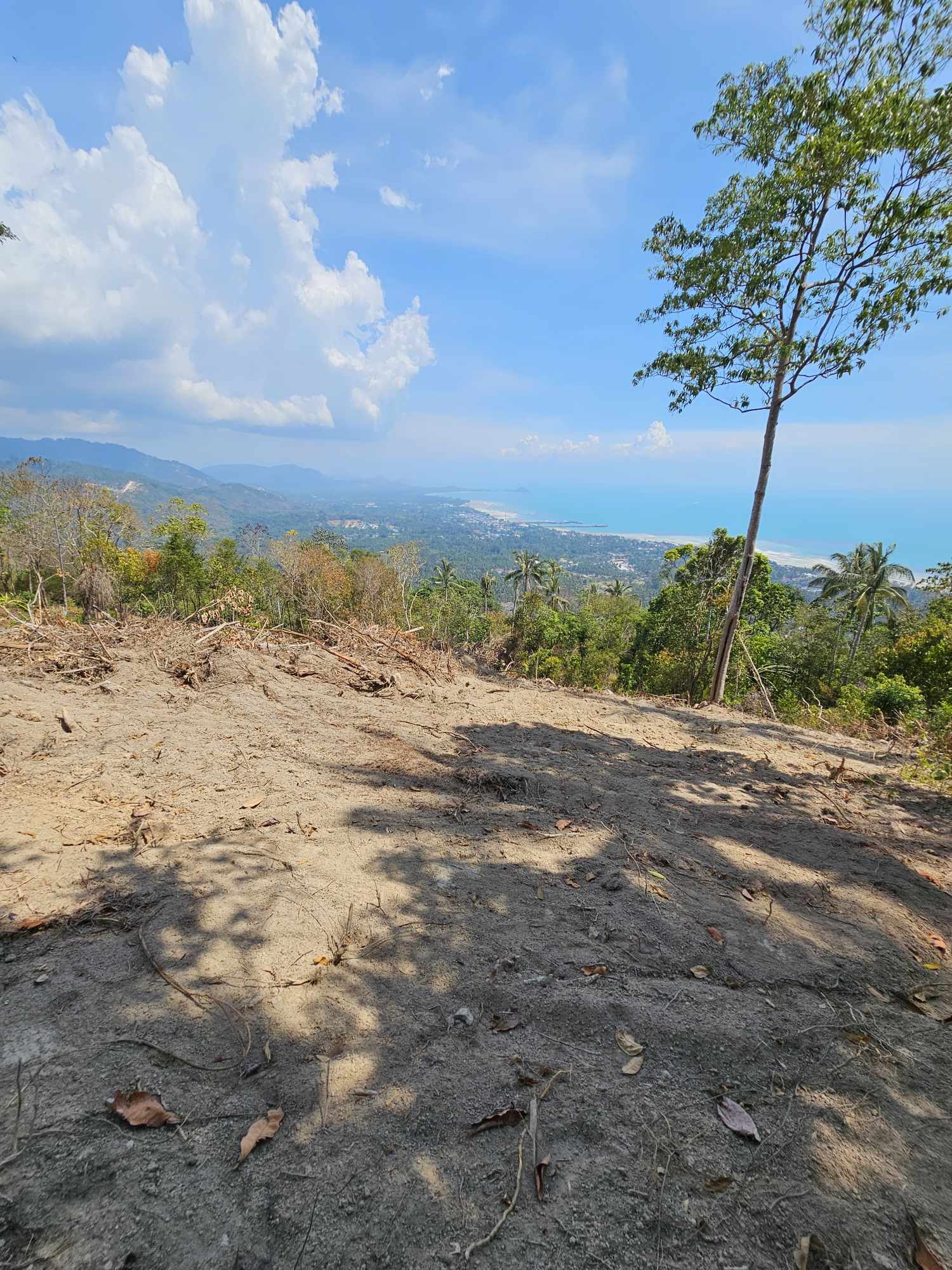 Land for Sale in Bang Makham, Koh Samui_5 Sea View Land for Sale in Bang Makham, Koh Samui
