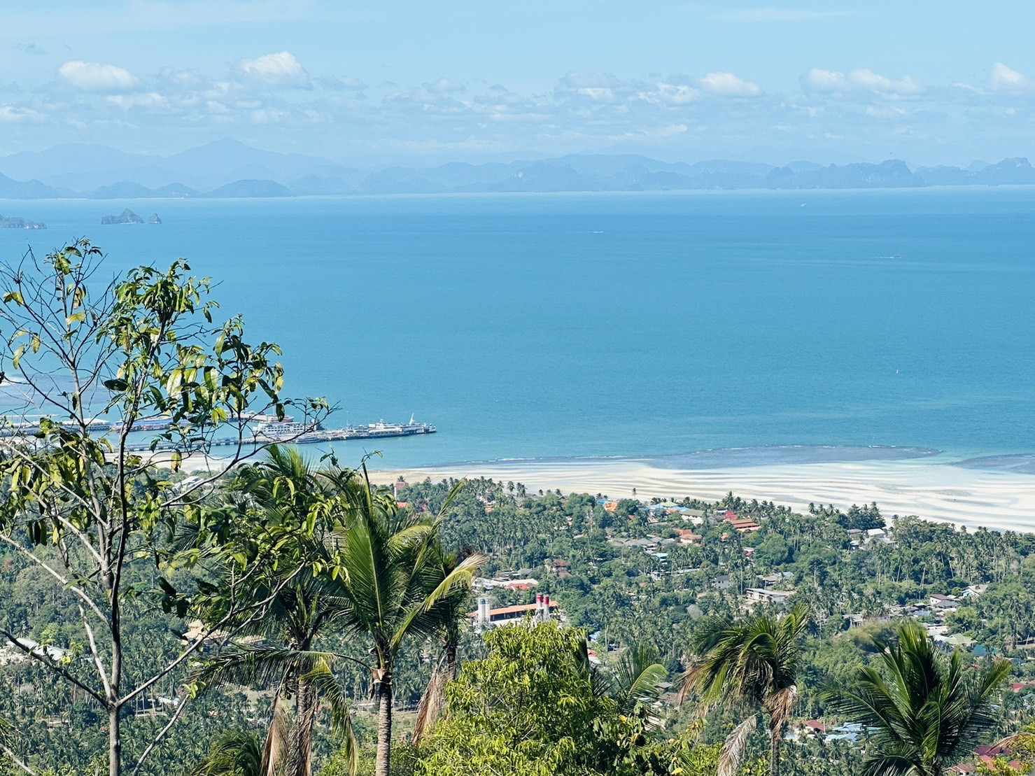 Land for Sale in Bang Makham, Koh Samui_8 Sea View Land for Sale in Bang Makham, Koh Samui