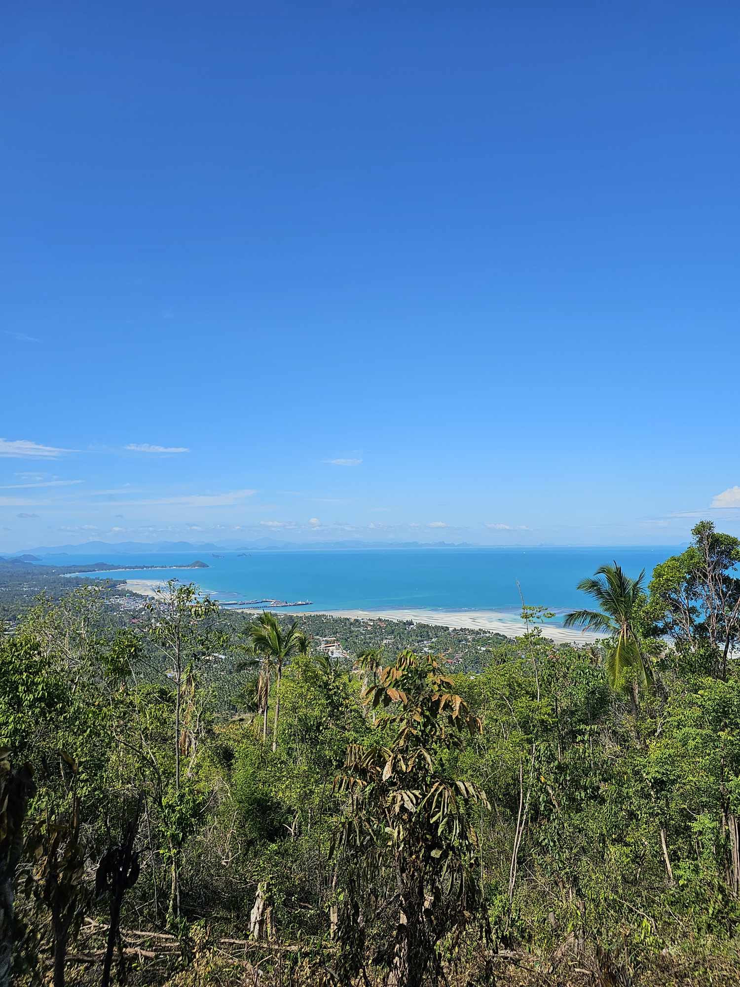 Land for Sale in Bang Makham, Koh Samui_9 Sea View Land for Sale in Bang Makham, Koh Samui