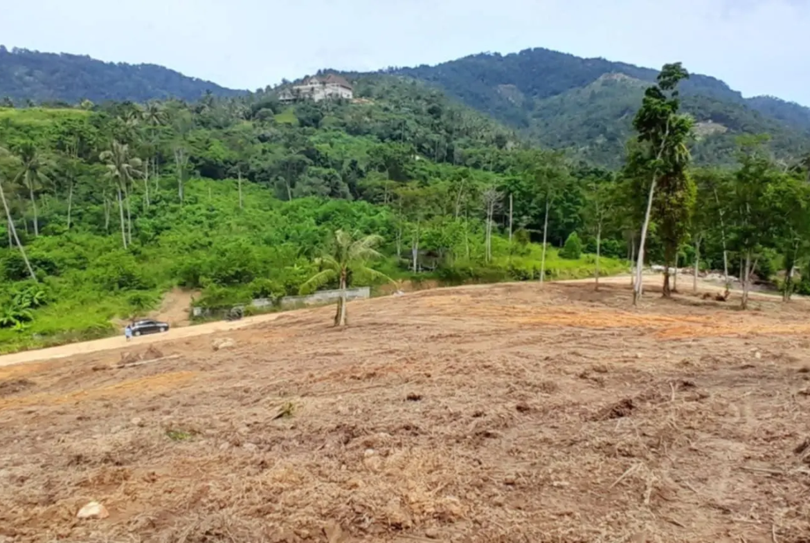 Nice mountain view & partial sea view