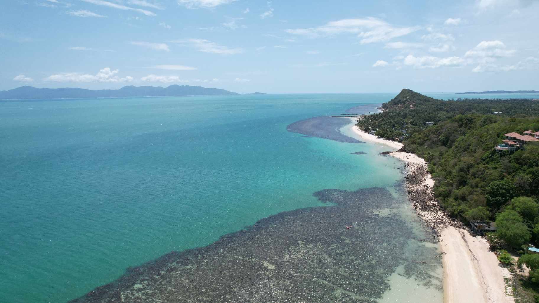 Petchpailin Resort – Seaview Resort for Sale in Bang Por, Koh Samui_9 Petchpailin Resort – Seaview Resort for Sale in Bang Por, Koh Samui