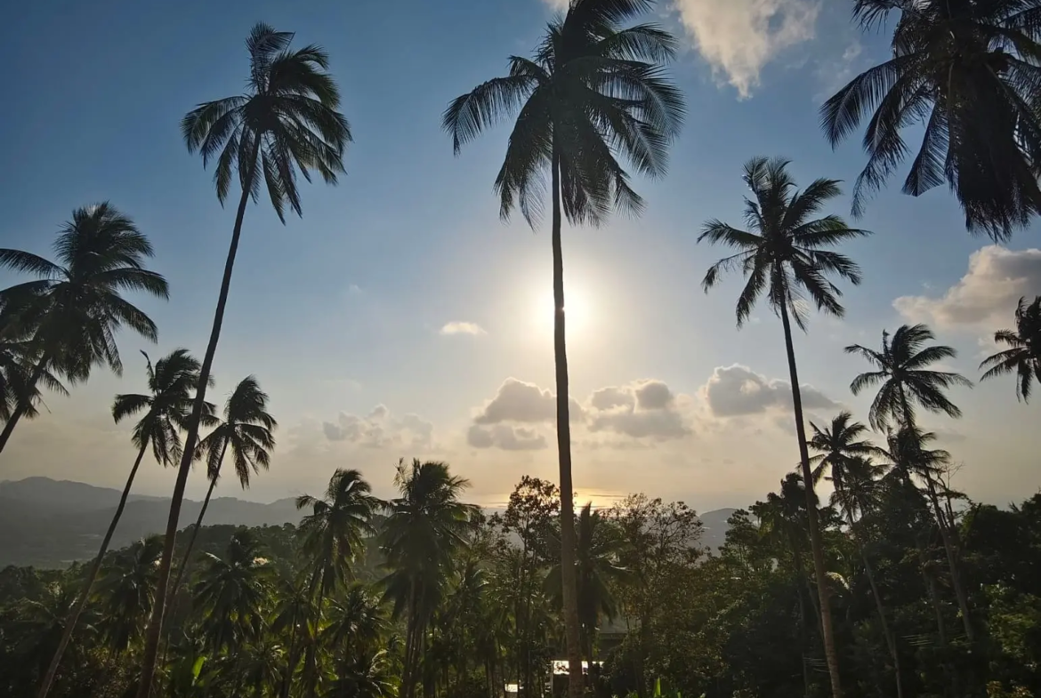 Prime Land for Sale in Lipa Noi, Koh Samui – 836 Sq.m.