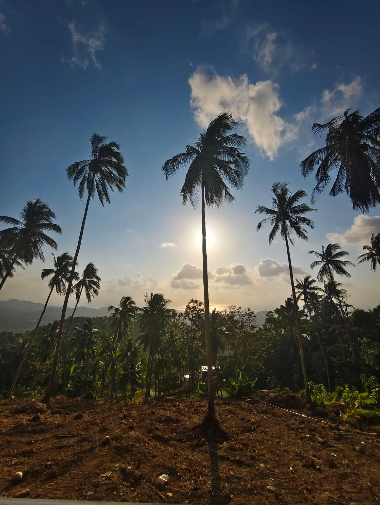 Prime Land for Sale in Lipa Noi, Koh Samui – 836 Sq.m.