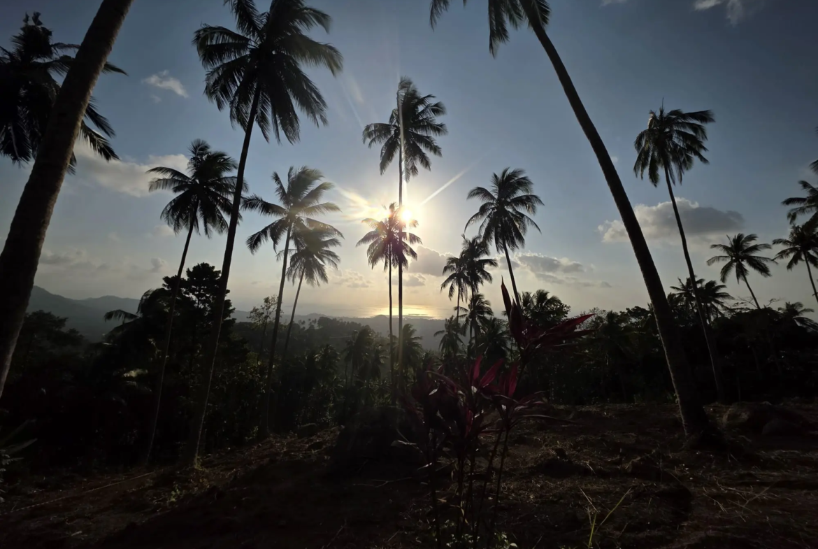 Prime Land for Sale in Lipa Noi, Koh Samui – 836 Sq.m.