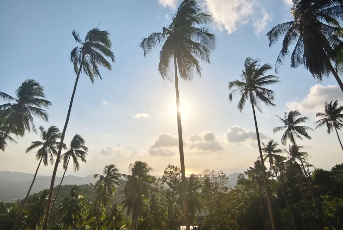 Prime Land for Sale in Lipa Noi, Koh Samui – 836 Sq.m.