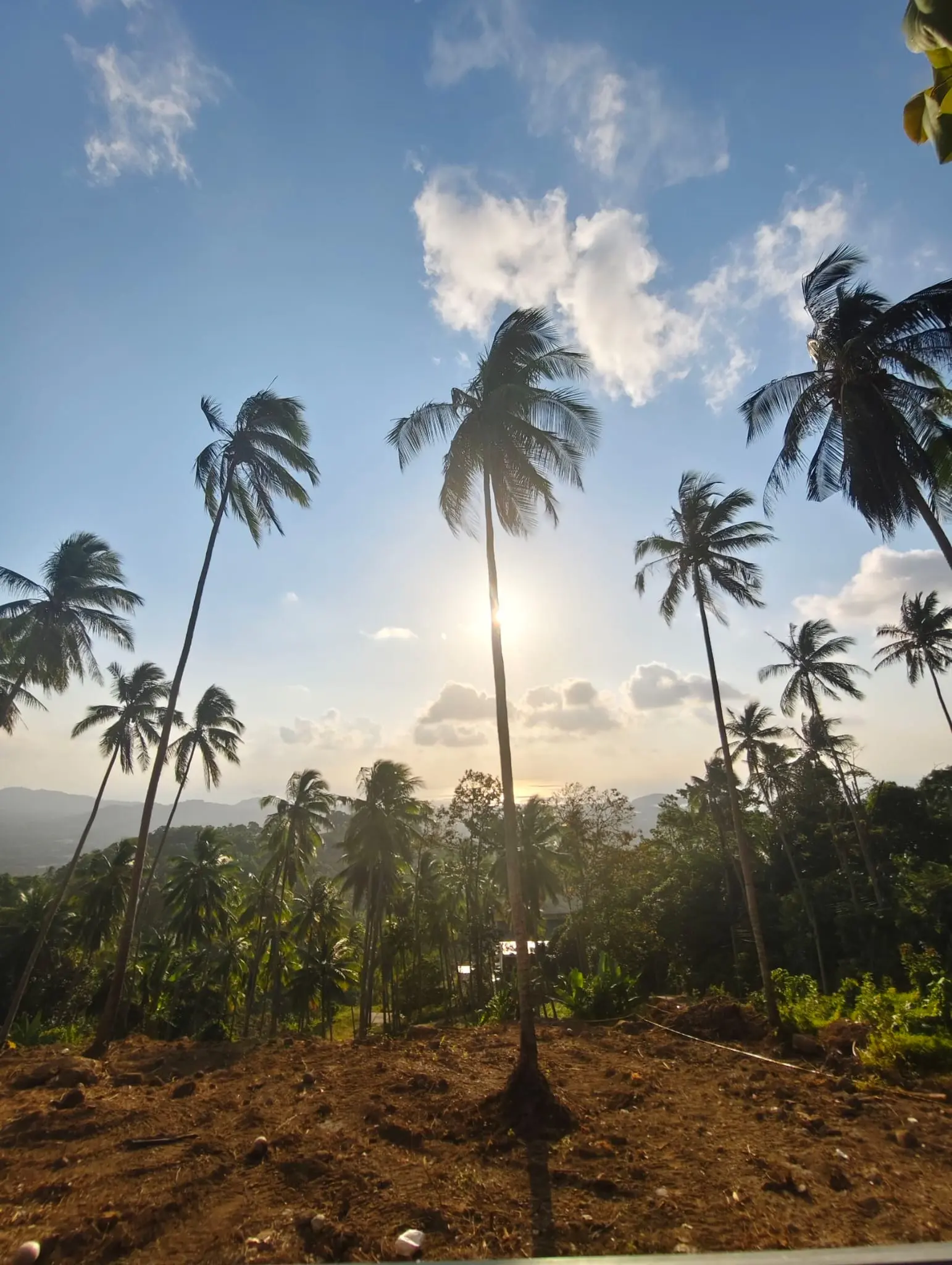 Prime Land for Sale in Lipa Noi, Koh Samui – 836 Sq.m.