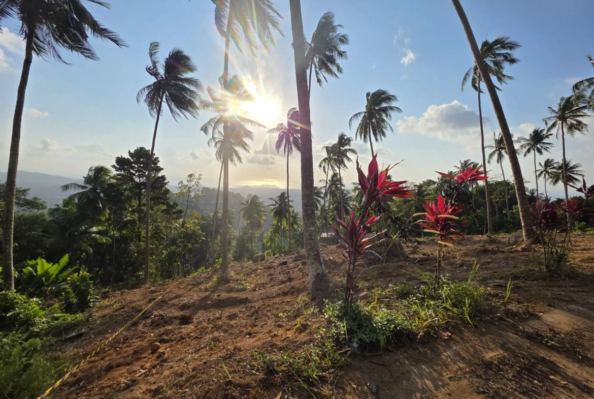 Prime Land for Sale in Lipa Noi, Koh Samui – 836 Sq.m.