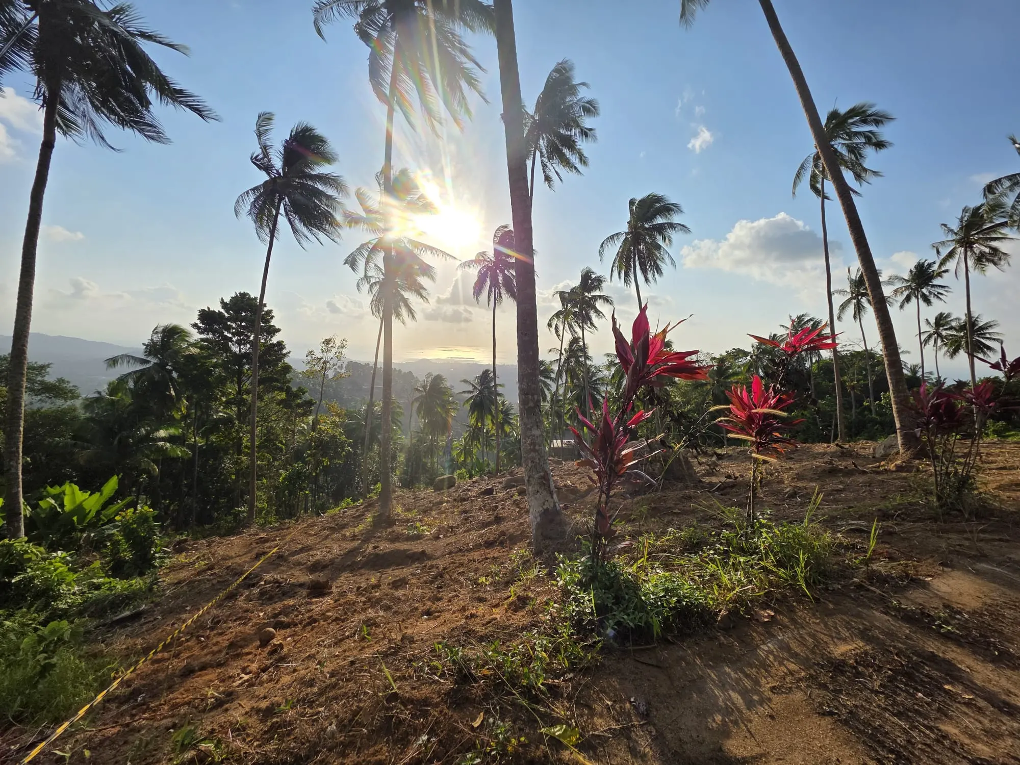 Prime Land for Sale in Lipa Noi, Koh Samui – 836 Sq.m.