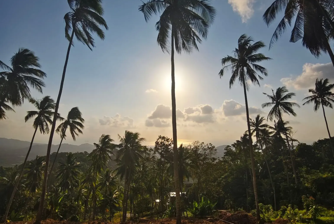 Prime Land for Sale in Lipa Noi, Koh Samui – 836 Sq.m.