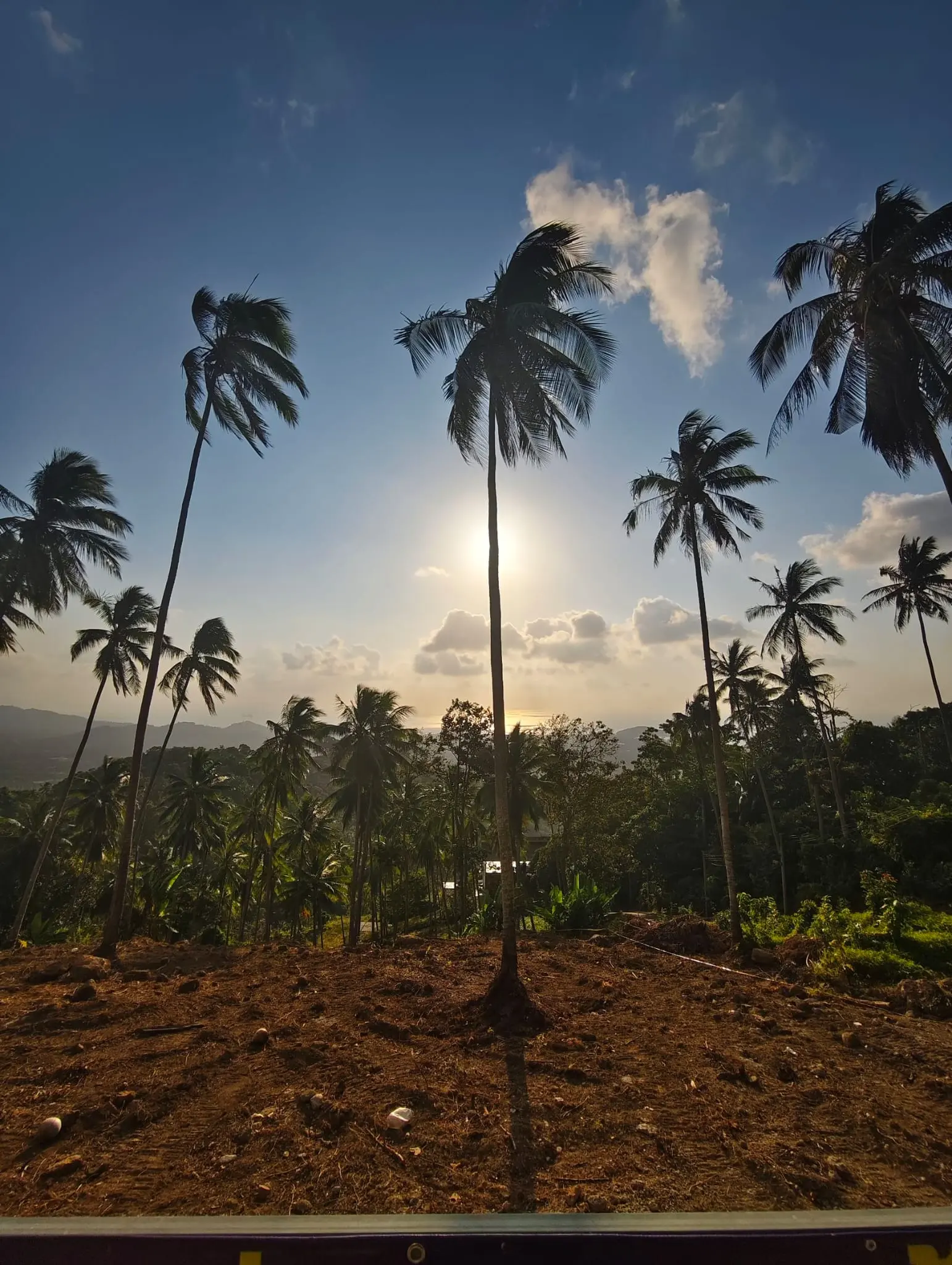 Prime Land for Sale in Lipa Noi, Koh Samui – 836 Sq.m.