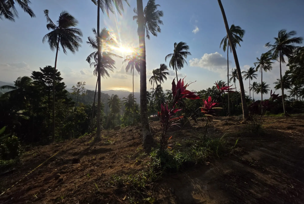 Prime Land for Sale in Lipa Noi, Koh Samui – 836 Sq.m.