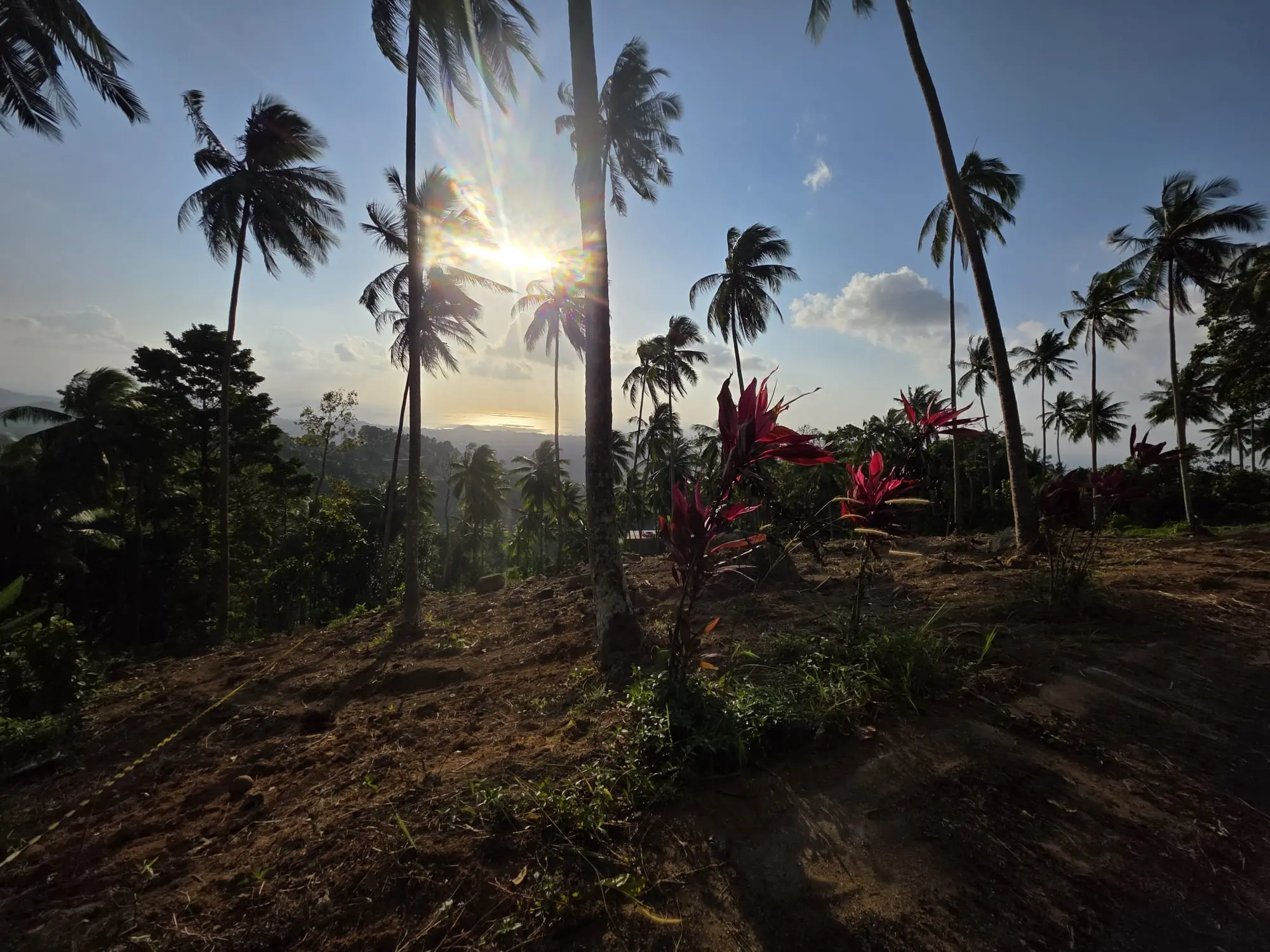 Prime Land for Sale in Lipa Noi, Koh Samui – 836 Sq.m.
